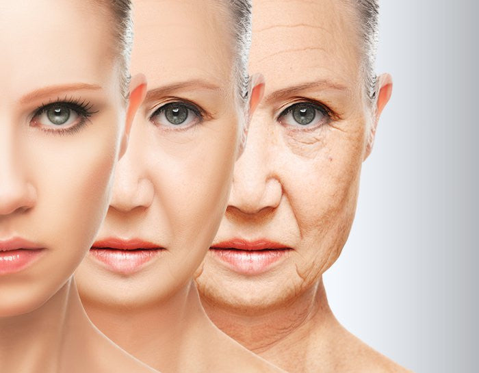 ¿Como Podemos Evitar el Envejecimiento Prematuro y la Perdida de Colageno en Nuestro Cuerpo?