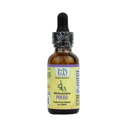 E&D Herbs - Poleo Tincture