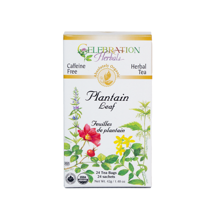 Celebration Herbals - Plantain Leaf