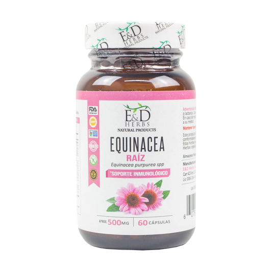 E&D Herbs - Equinacea 500 mg