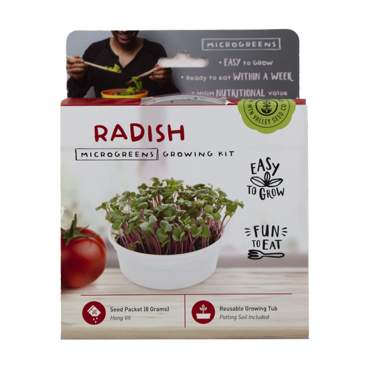 Mini Microgreens Growing Kit- Rabano